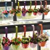 1.8lbs Colorful Metal Hanging Flower Pots with Drainage Hol