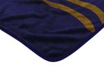 RAVENS OFFICIAL NFL "Digitize" Raschel Throw Blanket;  60" x 80"