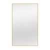 Modern Bathroom / Vanity Mirror