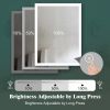 LED Lighted LED Lit Mirror Rectangular Fog Free Frameless Bathroom Vanity Mirror